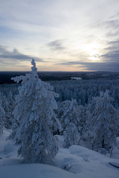 istock winter scenery Vuokatti Sotkamo Finland 1181172514