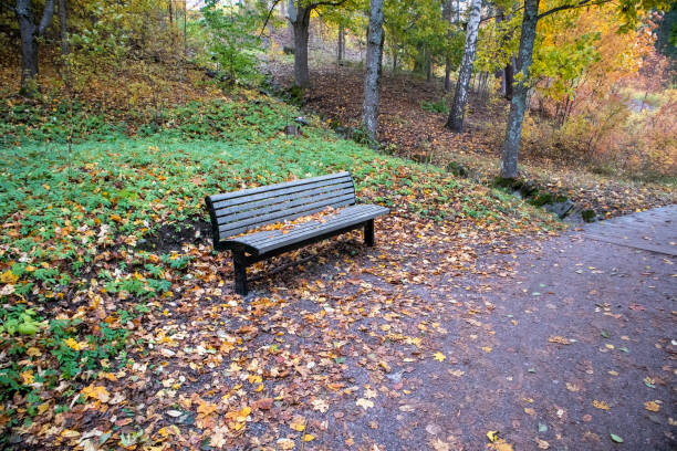 istock empty bench in a autumnal city park 1181173173
