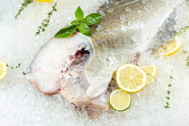 istock fresh sea ocean red perch fish, lying on ice, headless, cherry, sliced lemon and lime sliced round, lay around, with green basil, light, top side view, around 1181174799