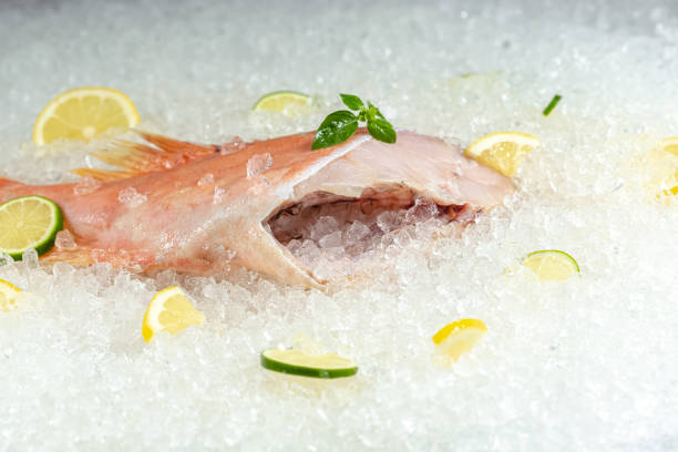 istock fresh sea ocean red perch fish, lying on ice, headless, cherry, sliced lemon and lime sliced round, lay around, with green basil, light, top side view, around 1181175453