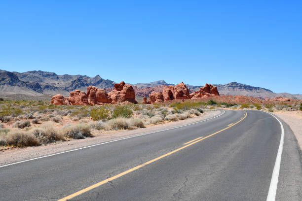 istock Endless Streets in California 1181176652