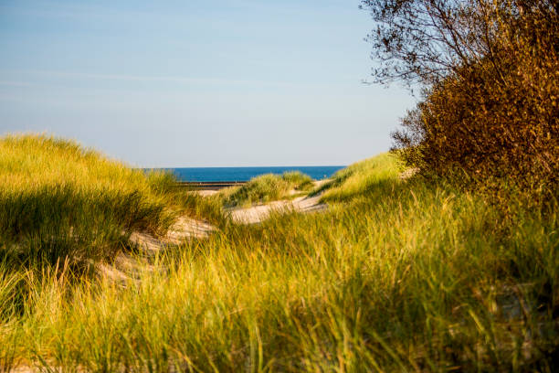 istock Baltic Sea in Poland with dunes and marrram grass 1181176768