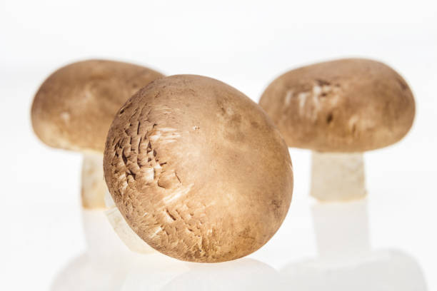 istock Bunch of button mushrooms, on white background. 1181178326