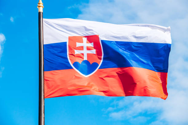 istock Slovakian flag 1181178932
