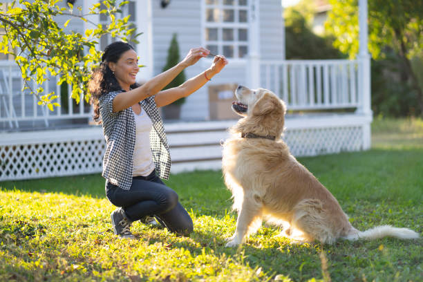 뒷마당에서 개를 훈련하는 여자 - training 뉴스 사진 이미지