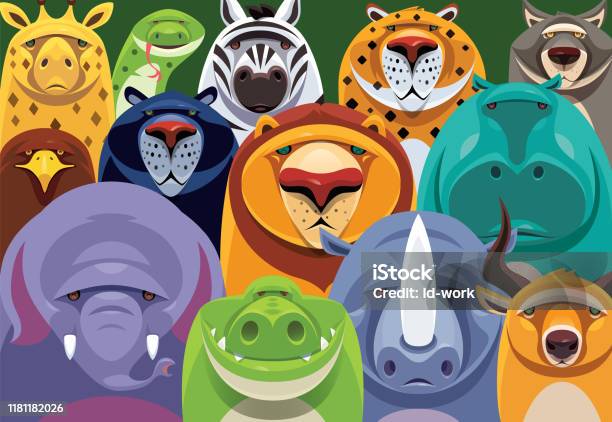 Group Of Safari Animals Meeting Stock Illustration - Download Image Now -  Cartoon, Zoo, Animal Head - iStock