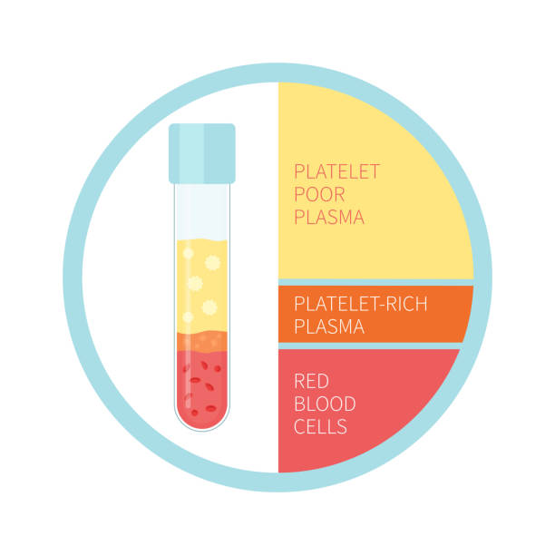 инфографика плазменного состава, богатая тромбоцитами - laboratory science healthcare and medicine centrifuge stock illustrations