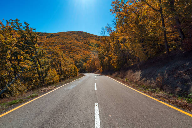 istock Road among yellow autumn mountain forest 1181184174