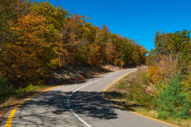 istock Road among yellow autumn mountain forest 1181184286