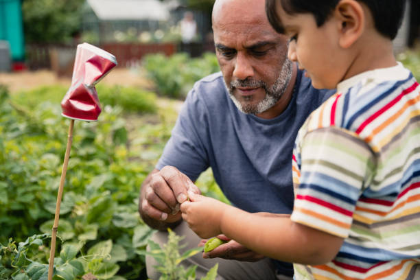 istock Showing Grandson How To Plant 1181186338