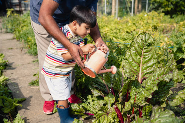 istock Helping Water the Plants 1181186398
