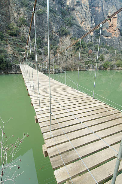 istock Wood suspension bridge 118118758