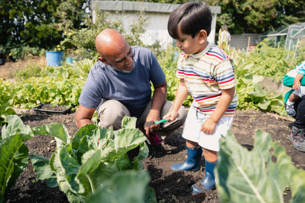 istock Helping with the Garden 1181187819