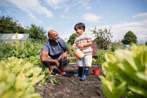 dzielenie się uśmiechem z dziadkiem - enjoyment growth gardening equipment human age zdjęcia i obrazy z banku zdjęć