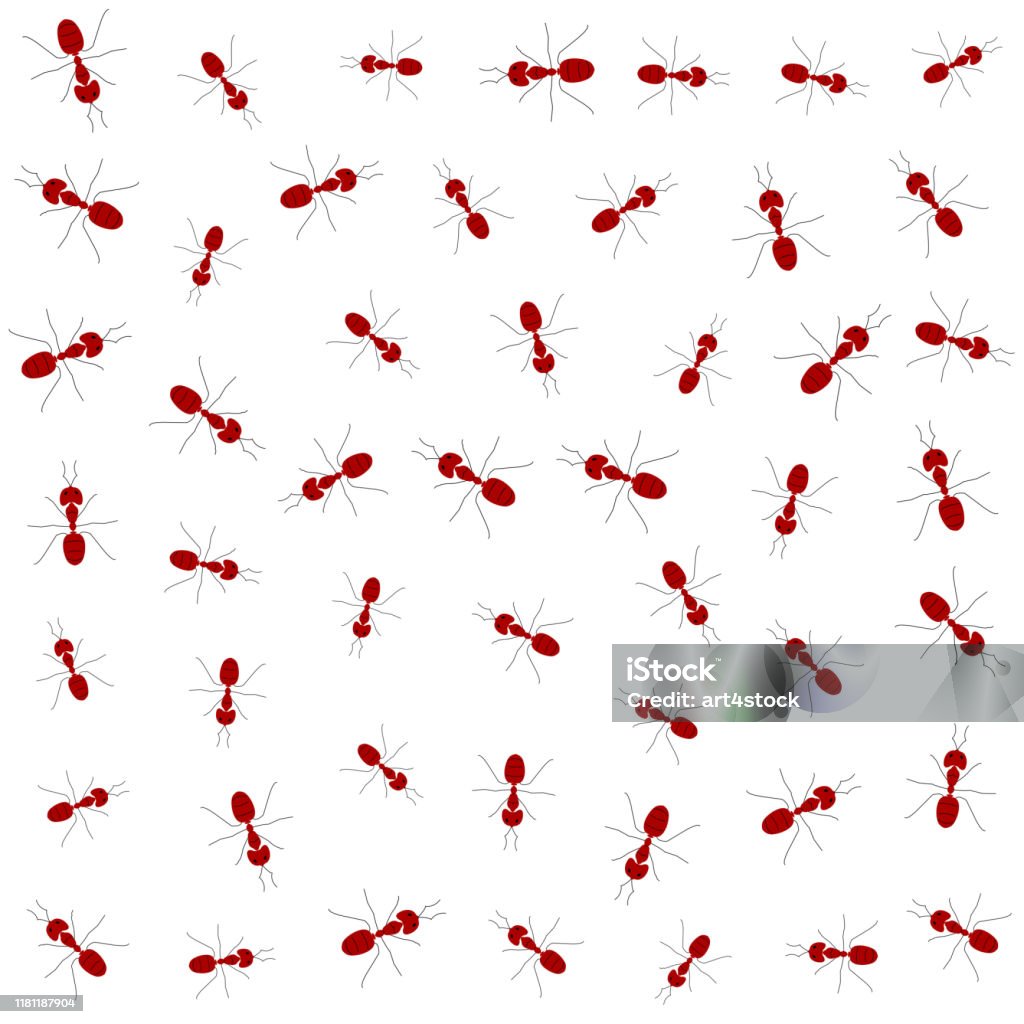 Ant Pattern In Rows Running Little Ants Seamless Pattern Stock Illustration - Download ...