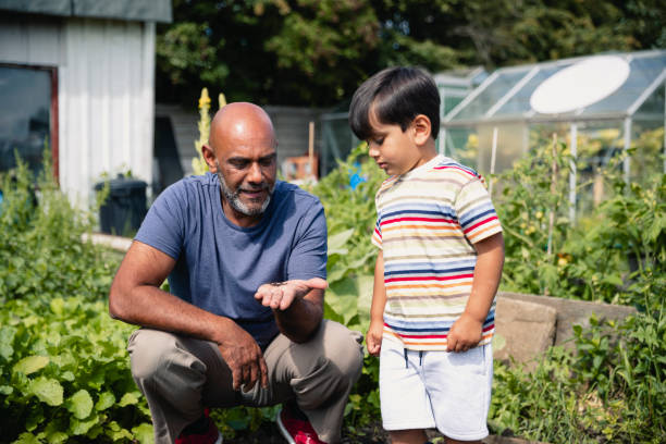 istock Bugs in the Garden 1181189594