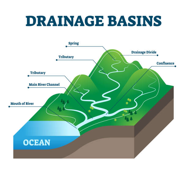 Drainage basins vector illustration. Labeled educational rain water scheme. Drainage basins vector illustration. Labeled educational rain water scheme. Geological precipitation collection structure with spring, tributary, main river channel, divide and confluence examples. wet area stock illustrations