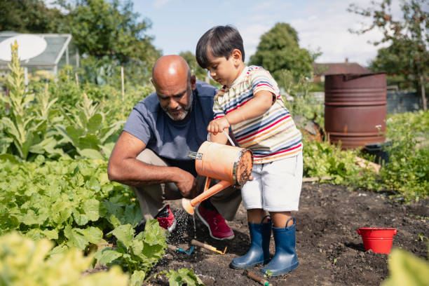 istock Watering the Plants with Grandad 1181190531