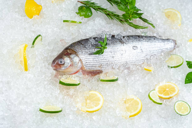 istock fresh red whole fish, lies on ice, headless, with green basil, light 1181190799