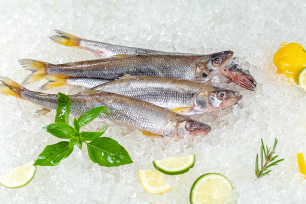 istock fresh red whole fish, lies on ice, headless, with green basil, light 1181190980