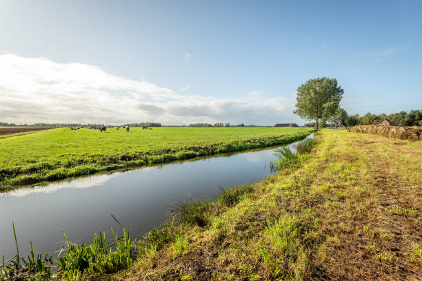 paisaje holandés después de limpiar la zanja - alblasserwaard fotografías e imágenes de stock