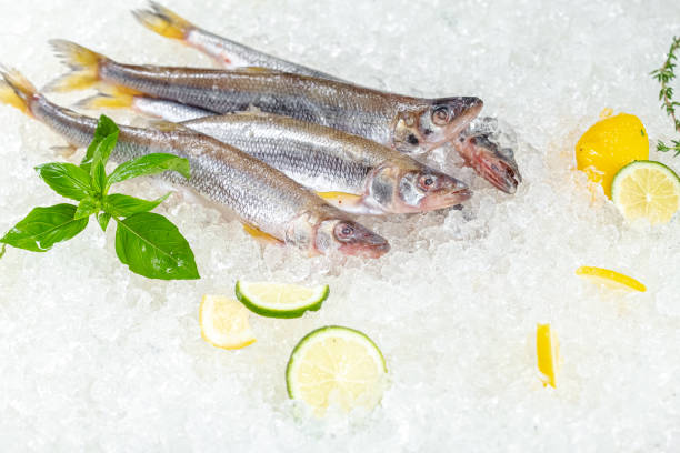 istock fresh red whole fish, lies on ice, headless, with green basil, light 1181192291