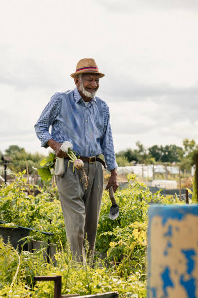 istock Admiring Hard Work In Allotment. 1181193496