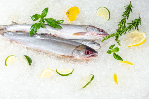 istock fresh red whole fish, lies on ice, headless, with green basil, light 1181193658