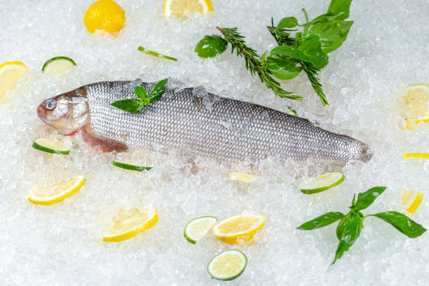istock fresh red whole fish, lies on ice, headless, with green basil, light 1181193864