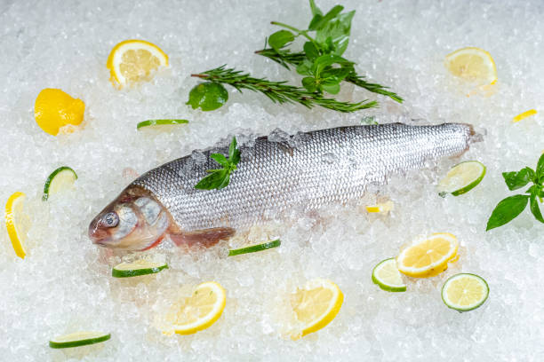 istock fresh red whole fish, lies on ice, headless, with green basil, light 1181194141