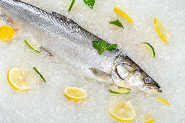 istock fresh red whole fish, lies on ice, headless, with green basil, light 1181194213