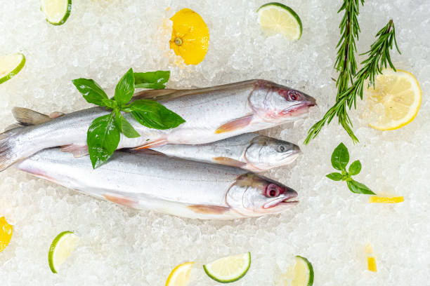 istock fresh red whole fish, lies on ice, headless, with green basil, light 1181194329