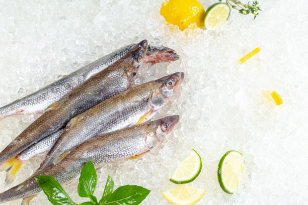 istock fresh red whole fish, lies on ice, headless, with green basil, light 1181194357