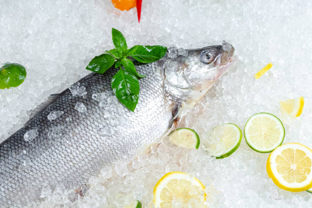 istock fresh red whole fish, lies on ice, headless, with green basil, light 1181194629