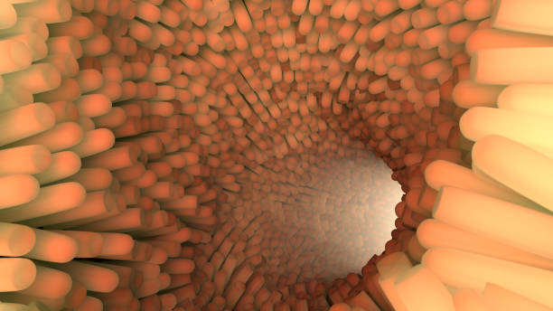 istock 3d render of intestine villus like surface. 1181196397