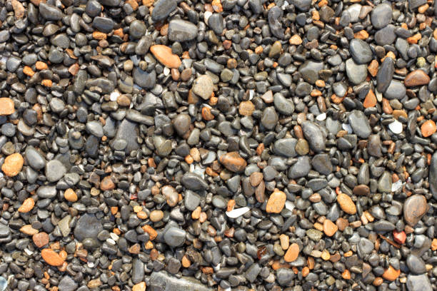 istock Wet multi-colored sea pebbles on the shore in the surf. 1181197111