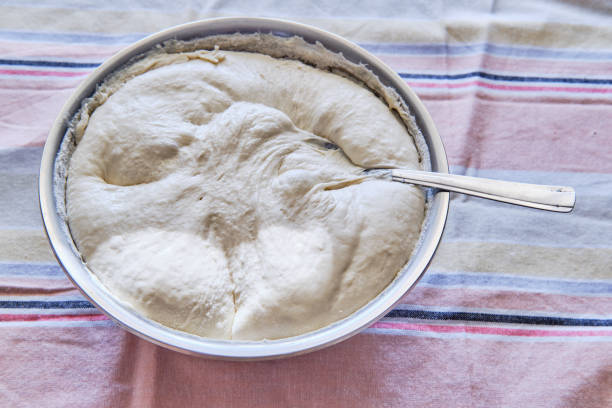 istock Pizza dough in a Bowl 1181199718