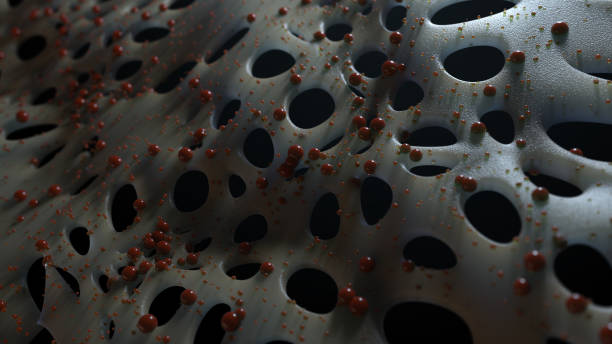 Subsurface Scattering Render 60+ Subsurface Scattering Stock Photos, Pictures & Royalty-Free Images ...