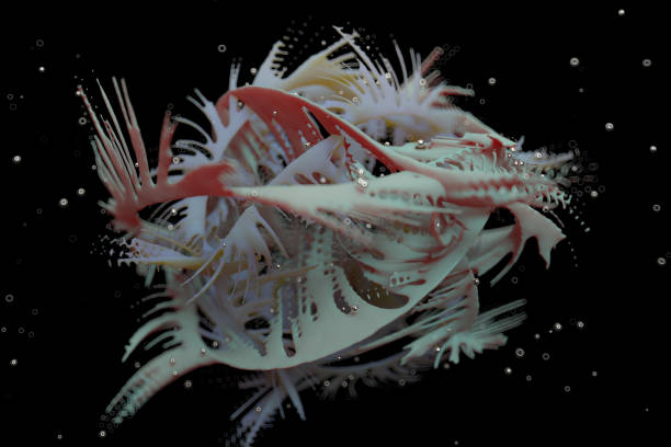 istock Subsurface scattering material and metal spheres. Splash like geometry. 1181201051