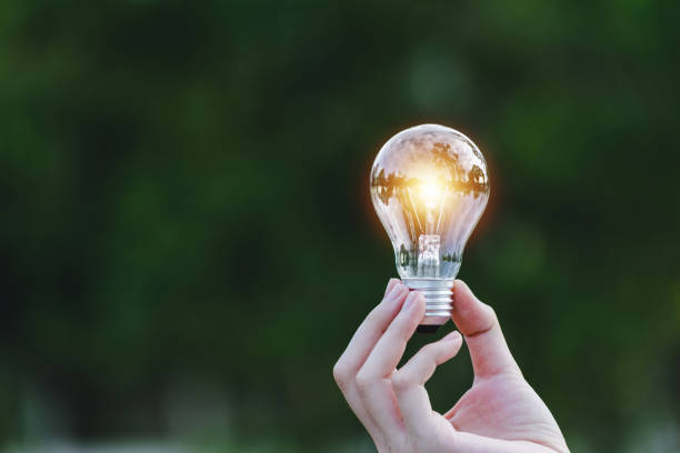 istock hand holding light bulb in garden green nature background. 1181205816