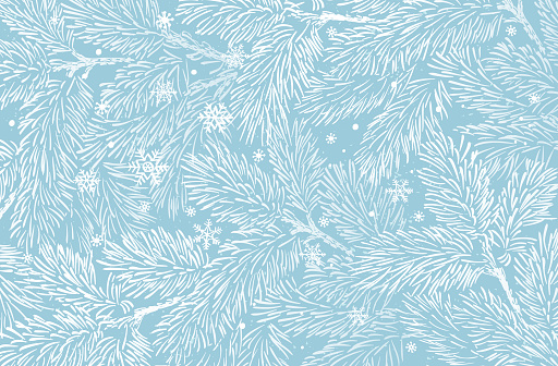 Winter holidays background with pine branches and snowflakes. New year illustration. Winter card design.