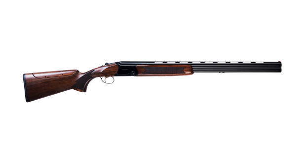 istock Old american wild west rifle isolated in white background 1181208086