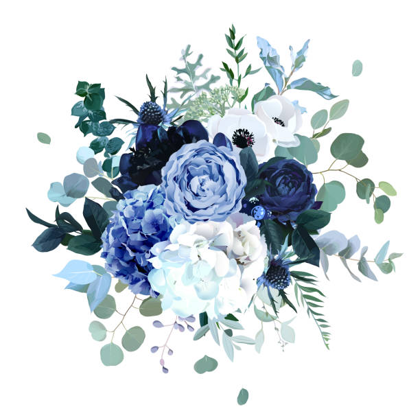 Royal blue, navy garden rose, white hydrangea flowers, anemone, thistle Royal blue, navy garden rose, white hydrangea flowers, anemone, thistle, eucalyptus, peony, berry vector design wedding bouquet. Eucalyptus, greenery. Floral watercolor style. Isolated and editable blue flowers stock illustrations
