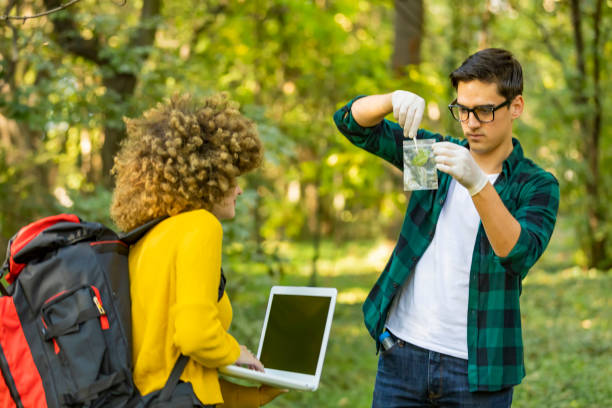 istock Scientist ecologist in the forest take samples of plants. 1181208982