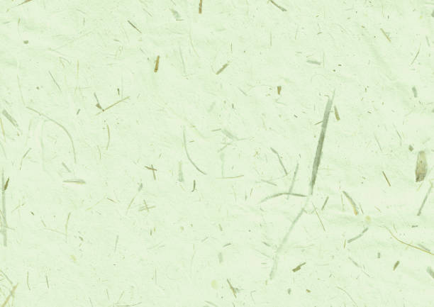 istock Green Korean traditional paper with rice straw 1181209092