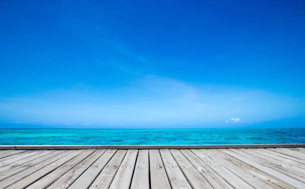 istock sea in Zanzibar beach 1181209471