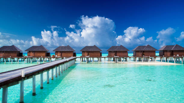 istock tropical Maldives island with beach 1181209503