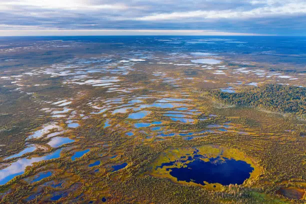 Photo of Autumn landscape. West Siberian Plain.