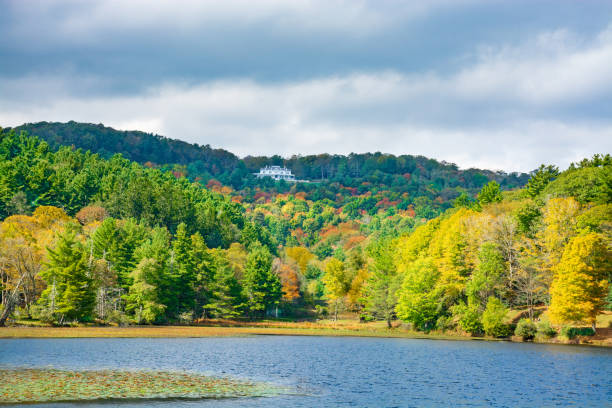 istock Colorful autumn forest with lake. 1181213487