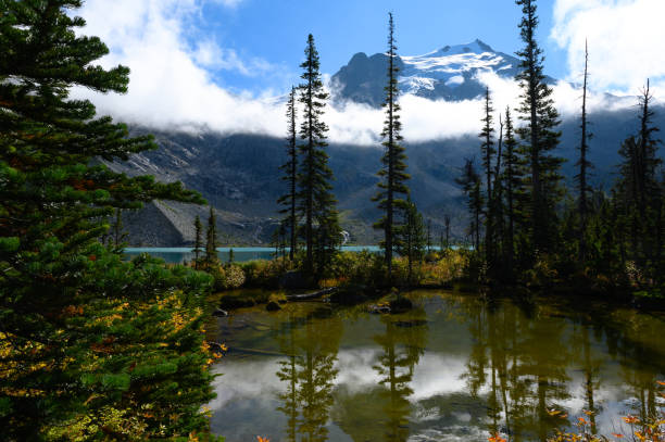 istock Joffre Lakes in British Columbia 1181214643